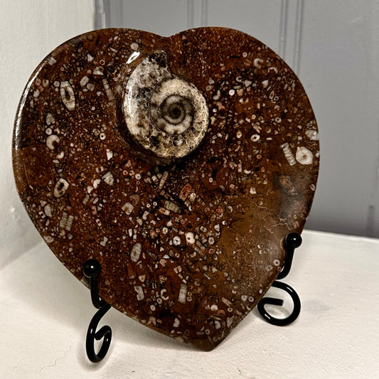 Ammonite heart bowl