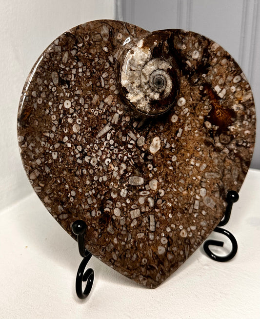 Ammonite Heart Bowl